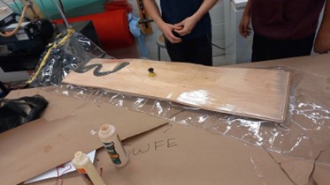 Skateboard Picture 4
